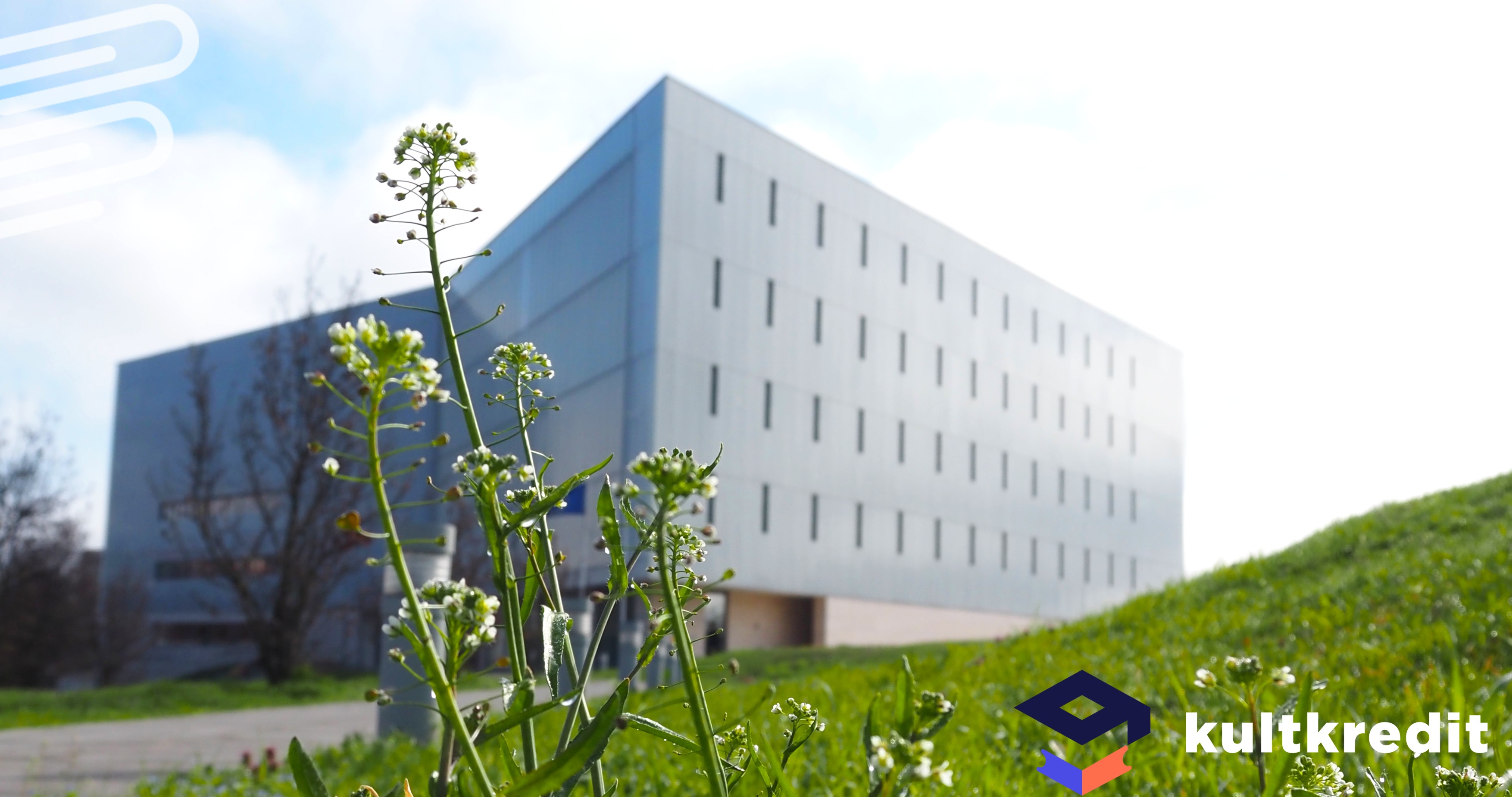 kultkredit-3.jpg (teljes)